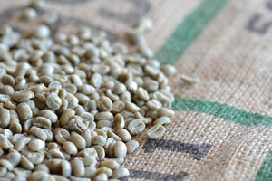 namamame300px namamame300px